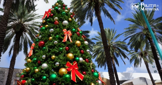 Decorated Christmas tree against palm trees in Florida