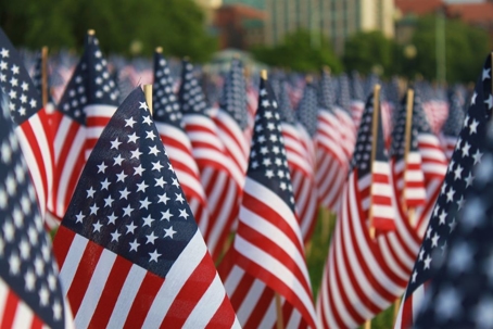 small american flags are lined up on a lawn
